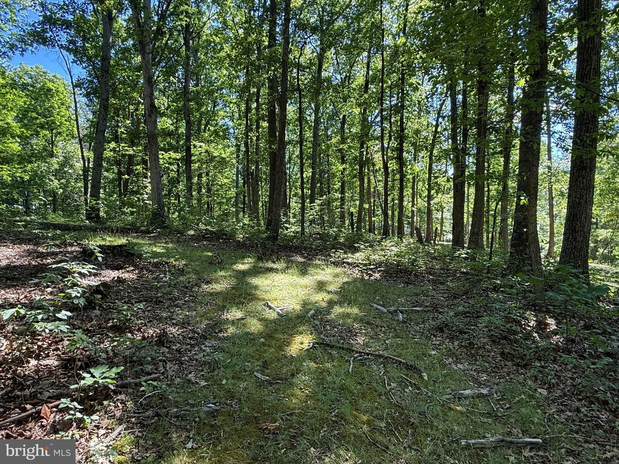 750 Hickory Corner Road Augusta, WV 26704 - Photo 42 of 49 Trails to the End of the Property!