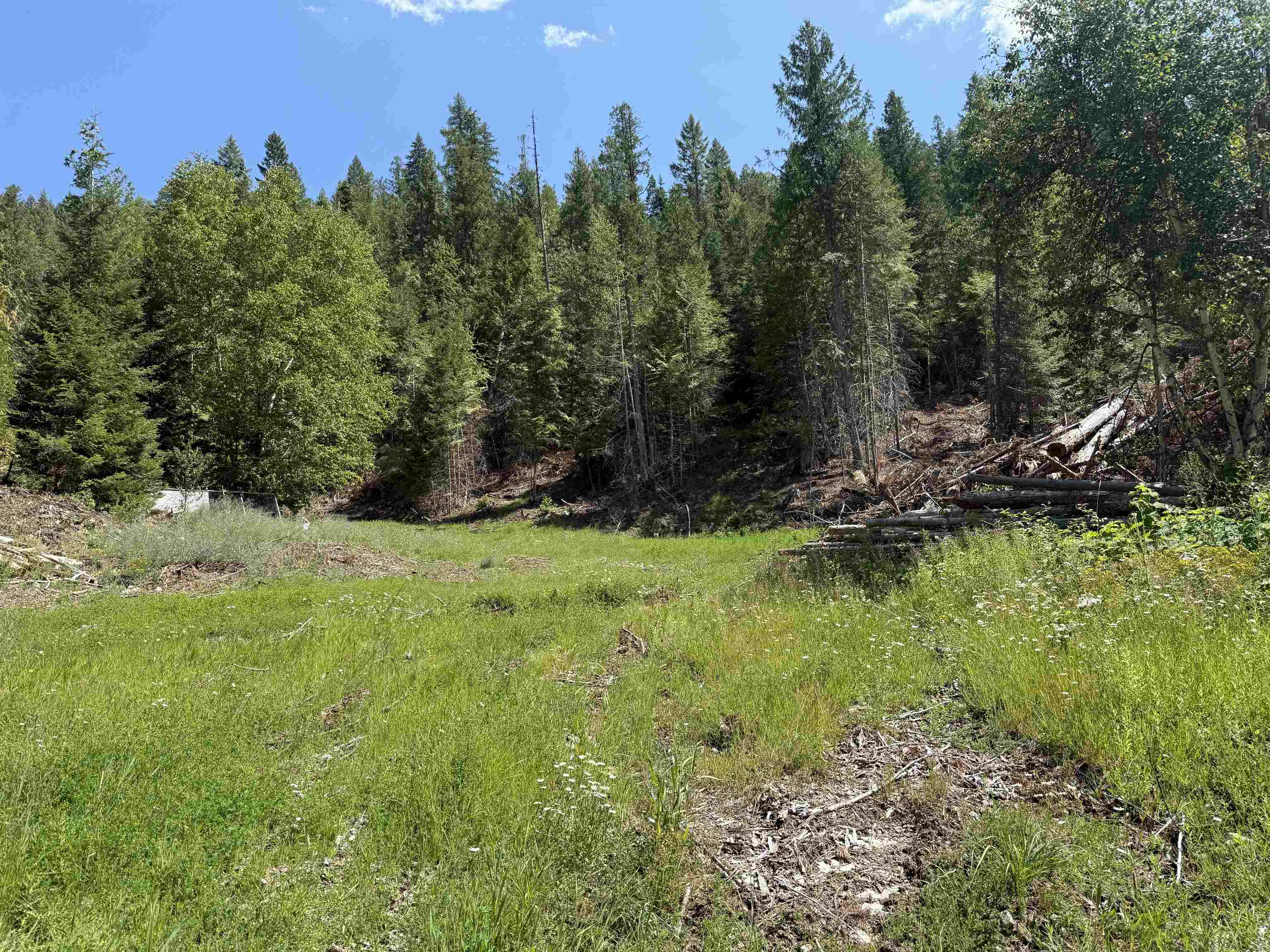 3516 Deep Lake Boundary Road Colville, WA 99114 - Photo 4 of 27 Gallery Image 4