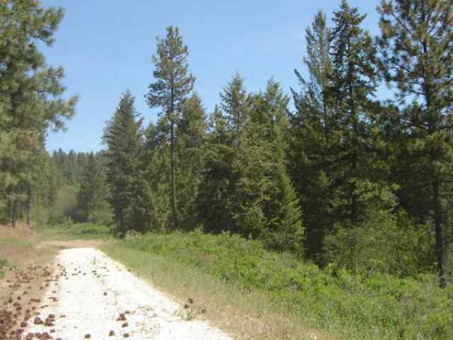 0 Huffman Road, Unit D Valley, WA 99181 - Photo 1 of 5