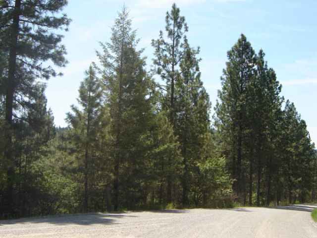 0 Huffman Road, Unit D Valley, WA 99181 - Photo 2 of 5