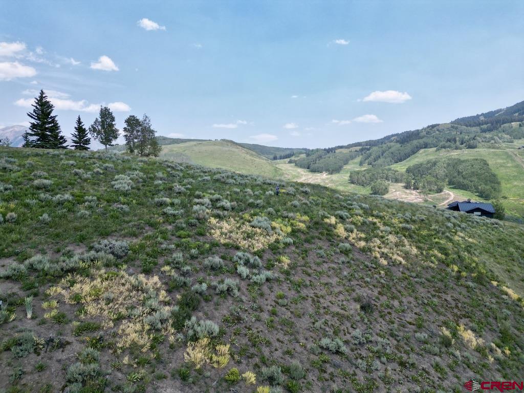 19 Buttercup Lane Crested Butte, CO 81225 - Photo 15 of 17 a view of a field with an trees