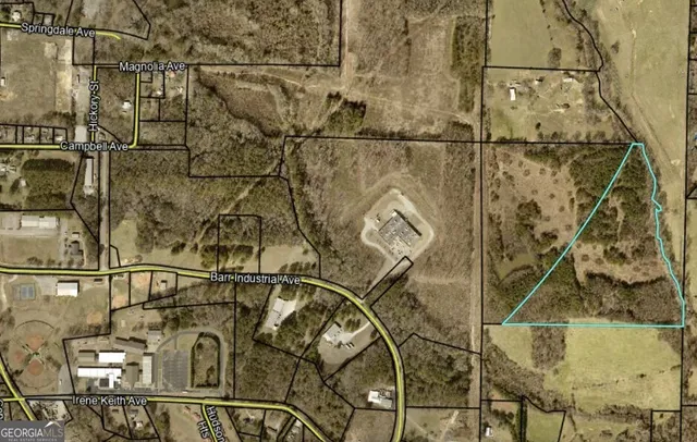 $400,000 | 400-460 Sally Ann Circle, Bowdon, GA 30108