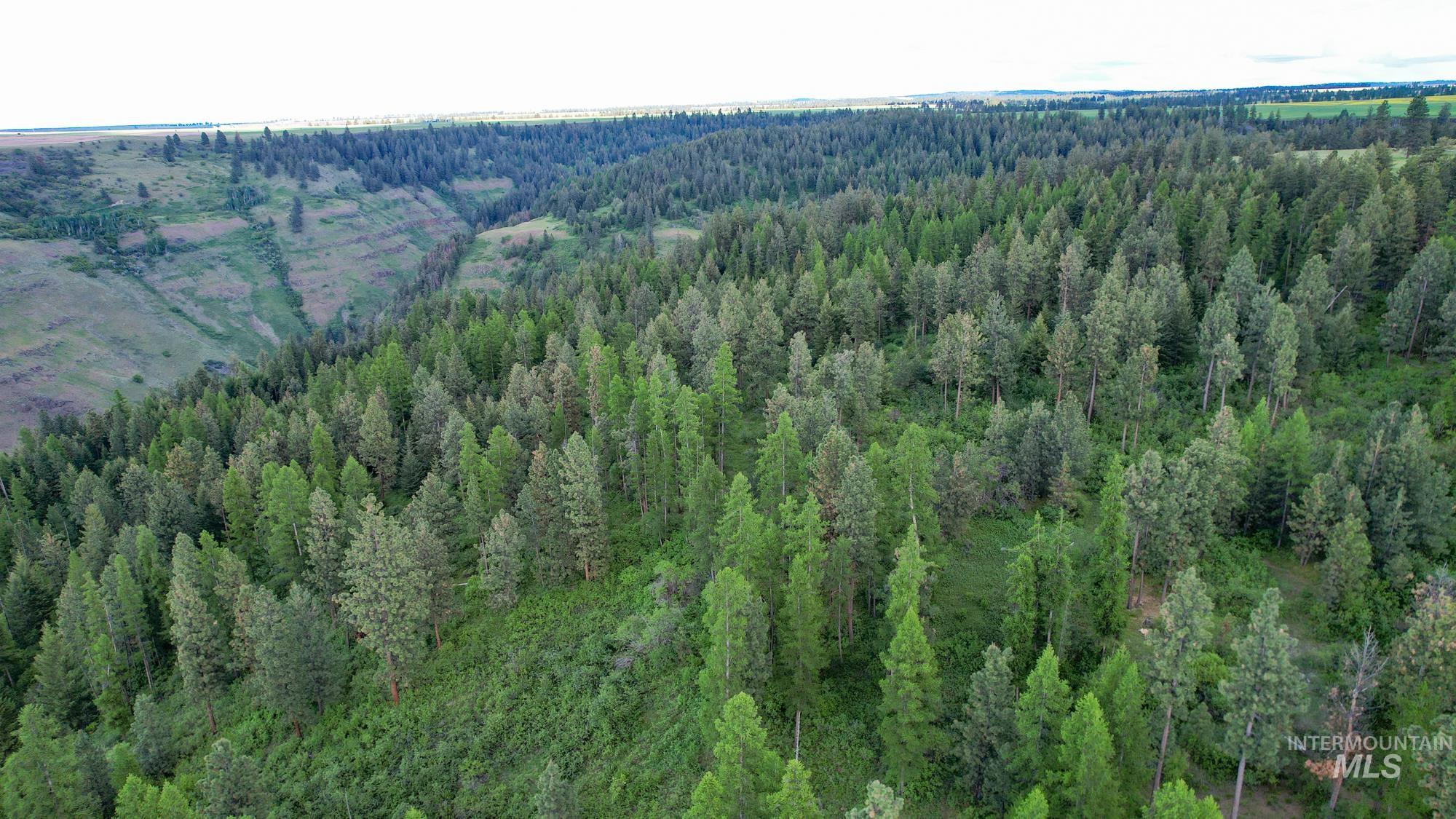 0 Highway 3 Enterprise, OR 97828 - Photo 11 of 21