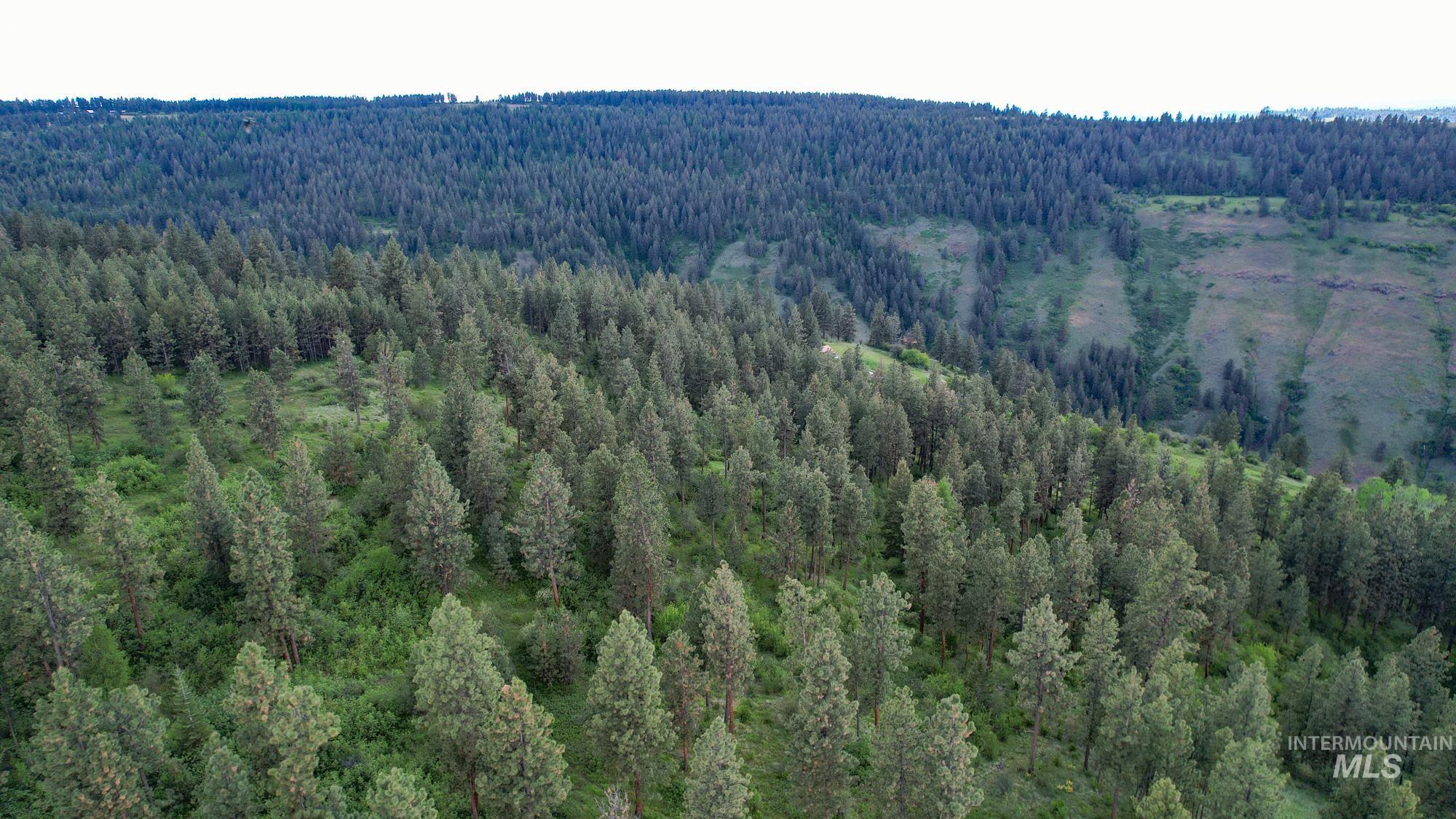 0 Highway 3 Enterprise, OR 97828 - Photo 12 of 21