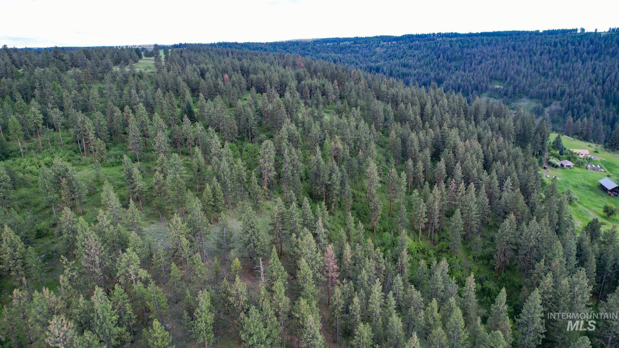 0 Highway 3 Enterprise, OR 97828 - Photo 13 of 21