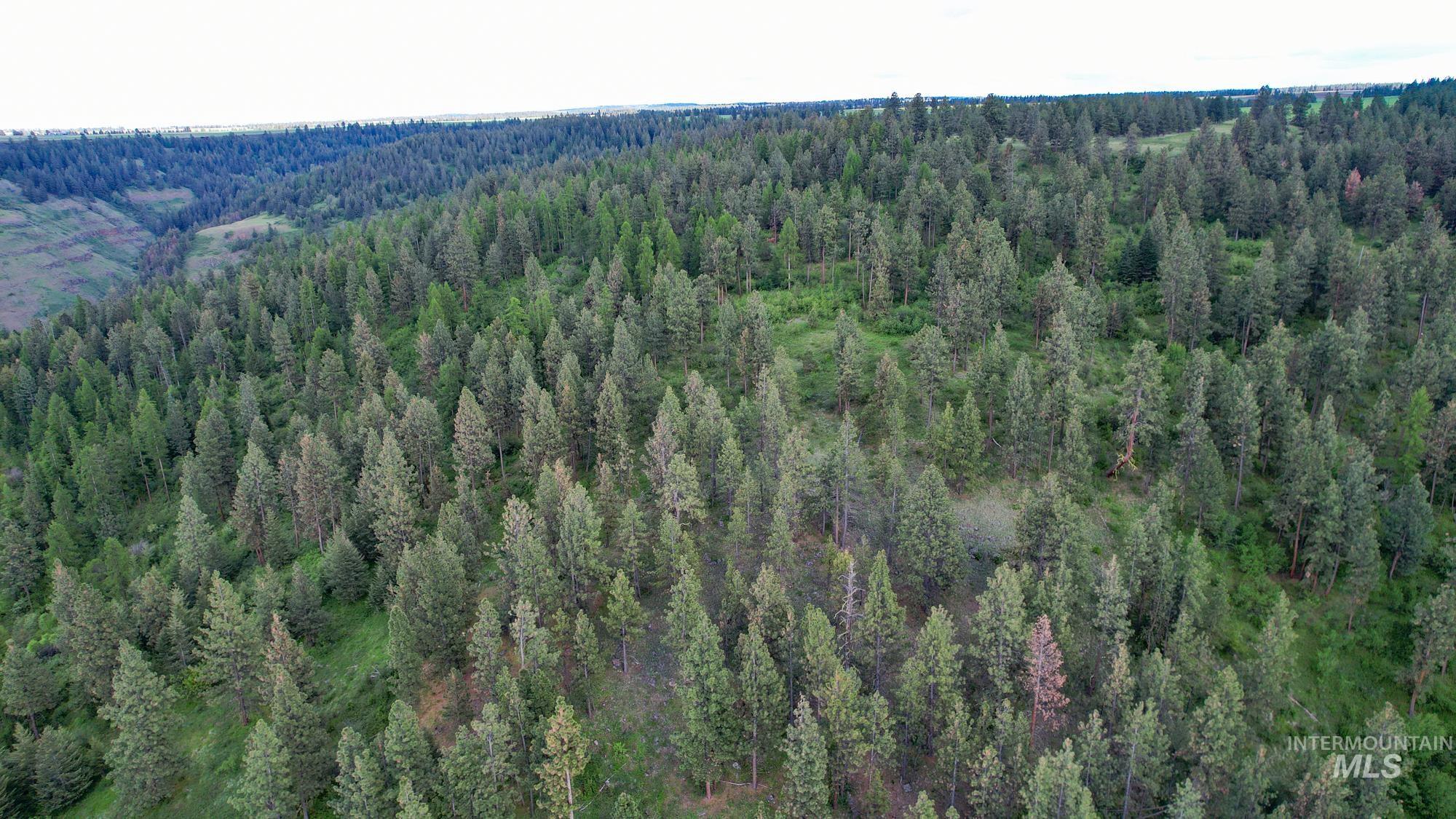 0 Highway 3 Enterprise, OR 97828 - Photo 14 of 21