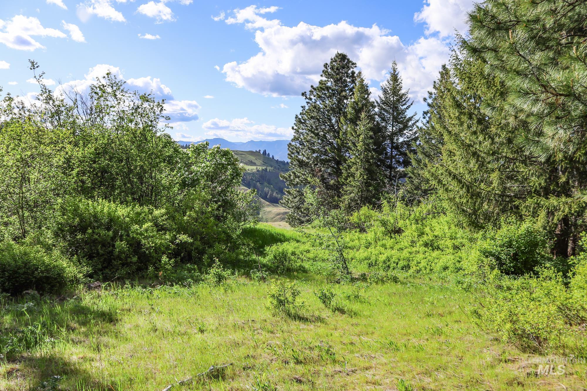 0 Highway 3 Enterprise, OR 97828 - Photo 17 of 21