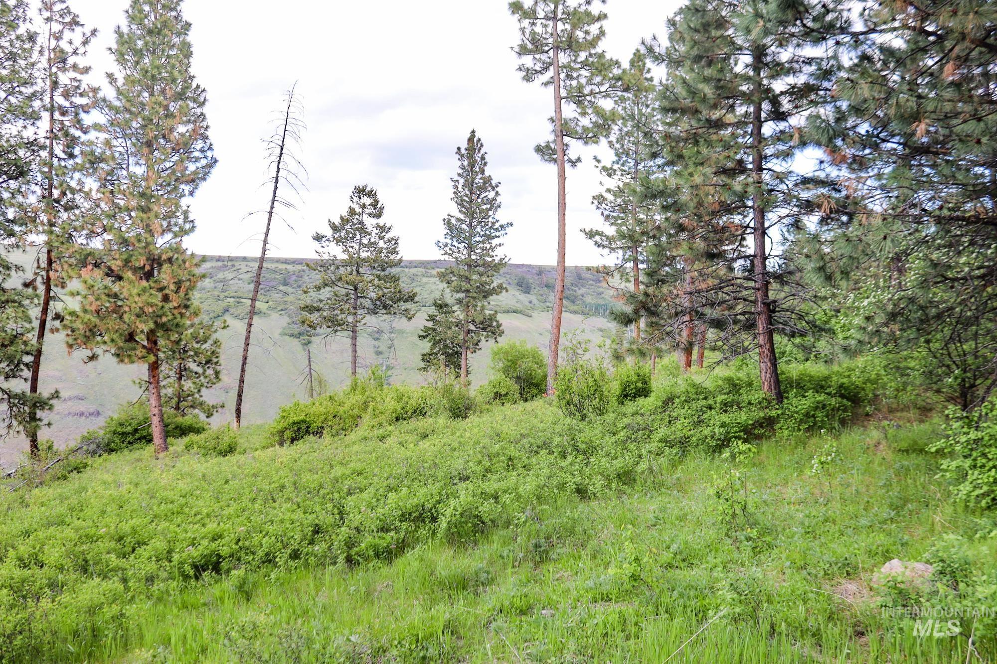 0 Highway 3 Enterprise, OR 97828 - Photo 20 of 21