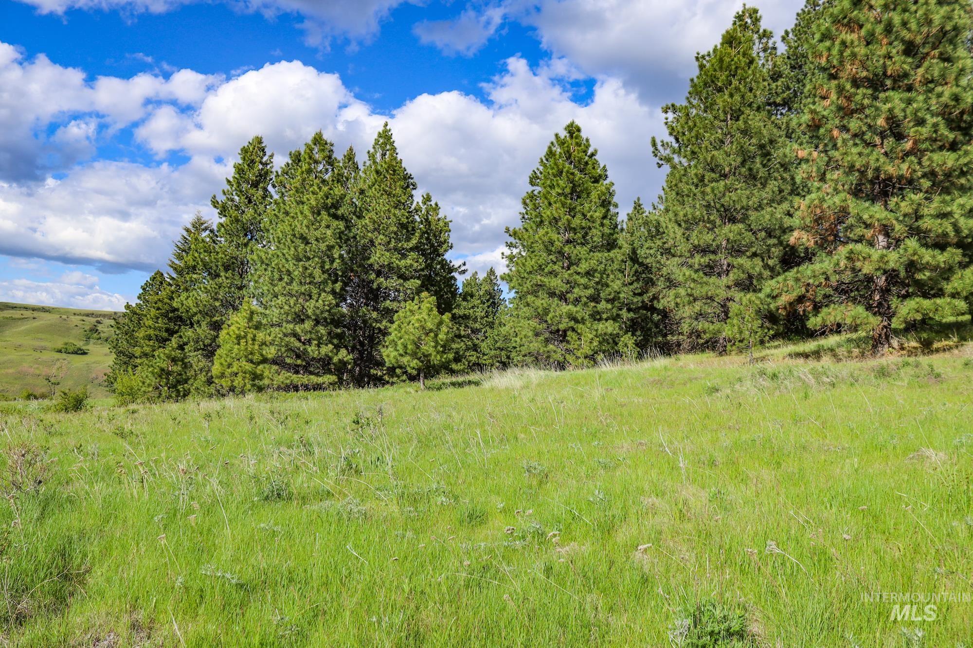 0 Highway 3 Enterprise, OR 97828 - Photo 2 of 21