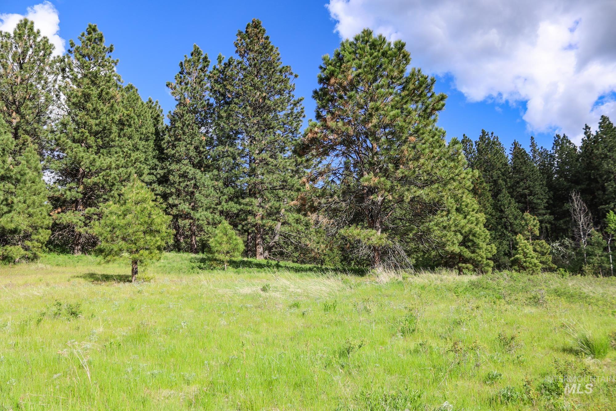 0 Highway 3 Enterprise, OR 97828 - Photo 3 of 21