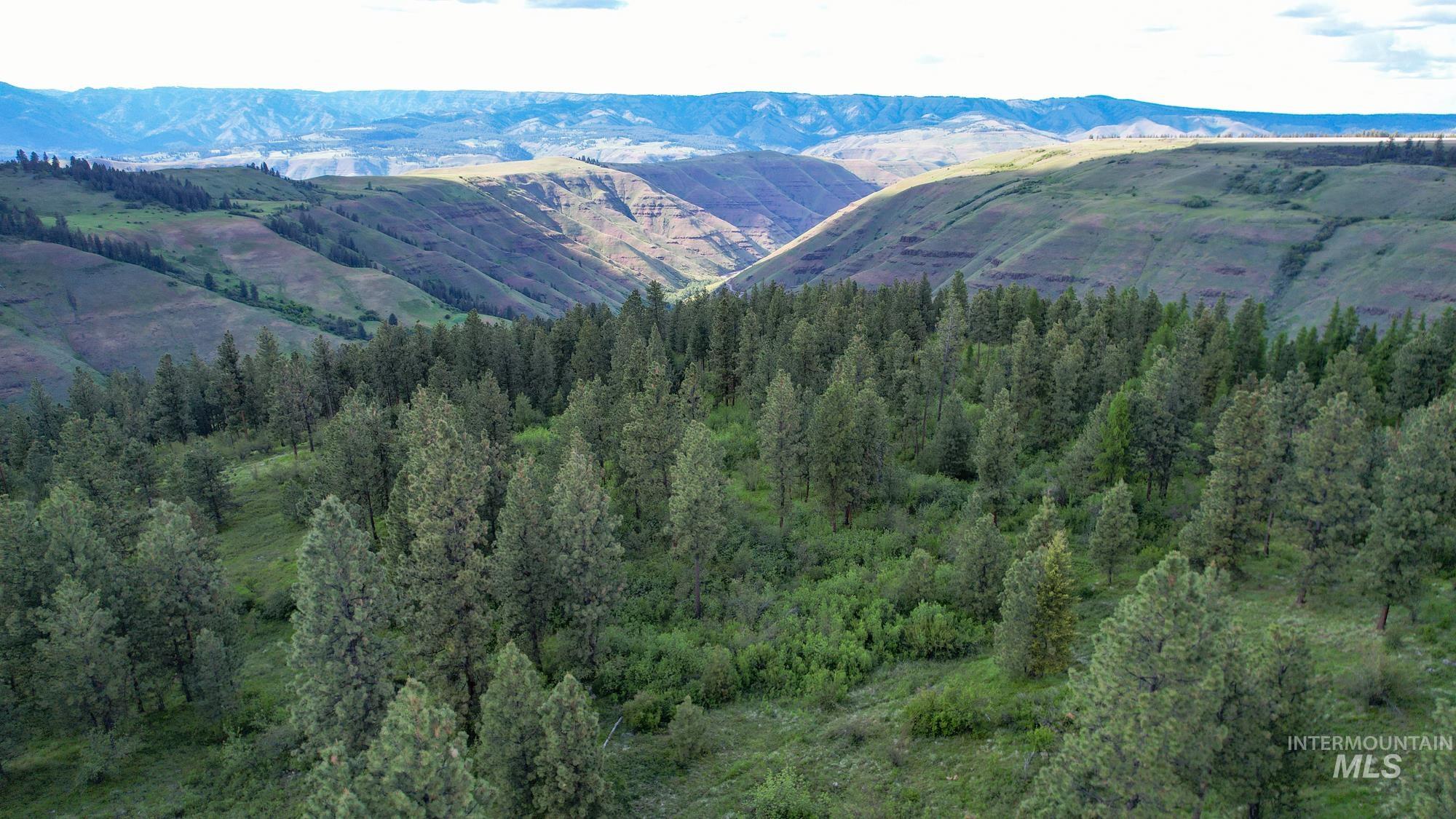 0 Highway 3 Enterprise, OR 97828 - Photo 4 of 21