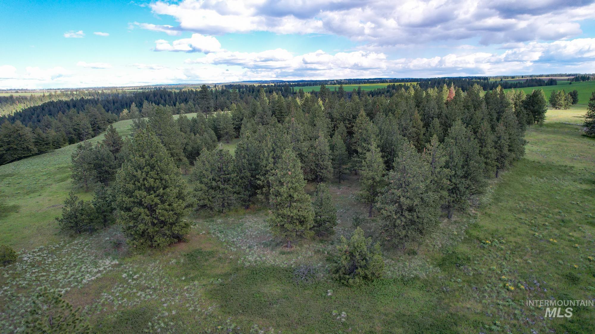 0 Highway 3 Enterprise, OR 97828 - Photo 6 of 21