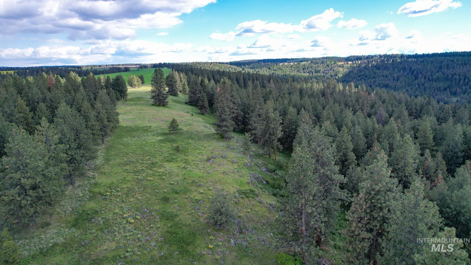 0 Highway 3 Enterprise, OR 97828 - Photo 7 of 21