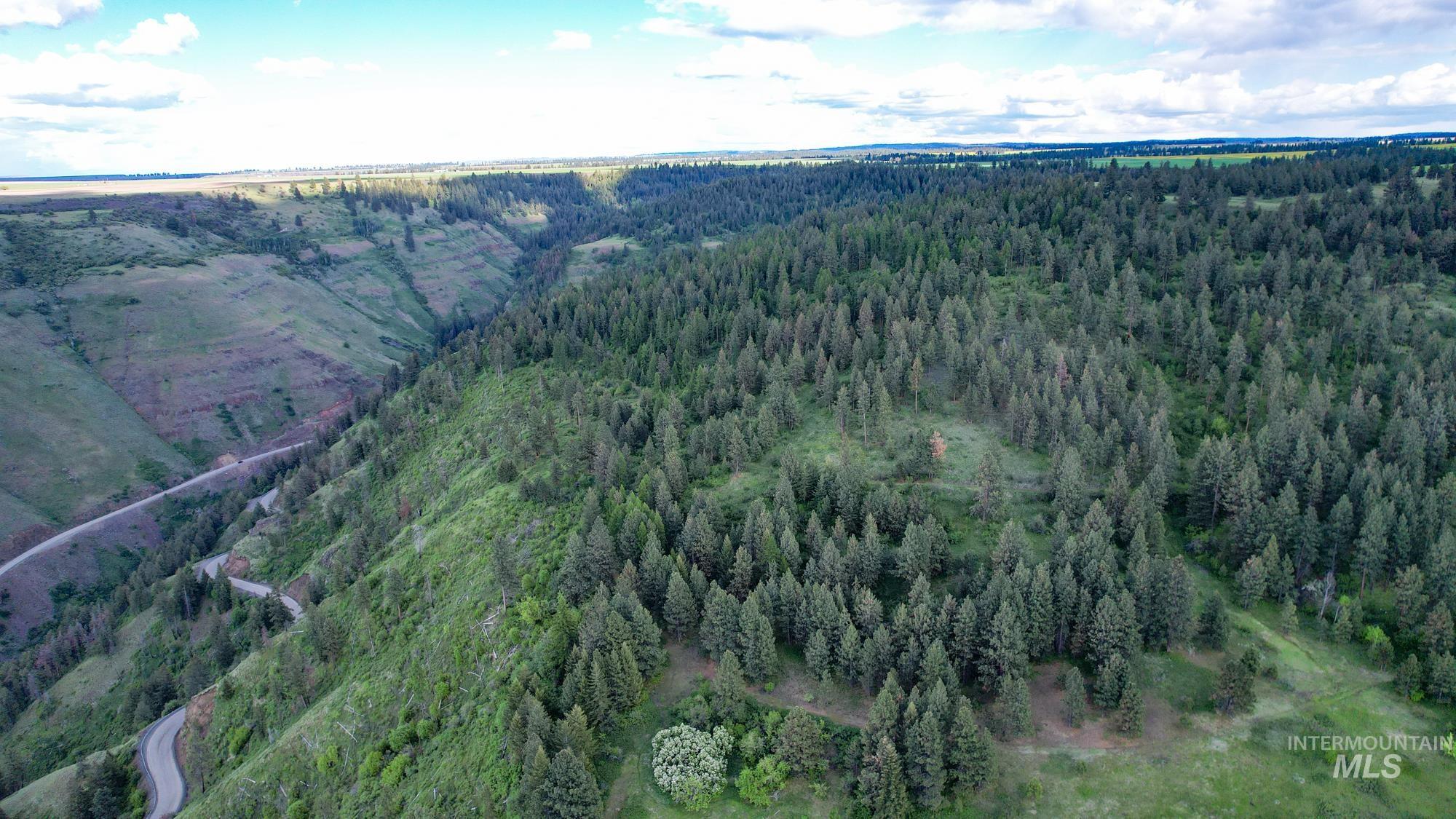 0 Highway 3 Enterprise, OR 97828 - Photo 10 of 21