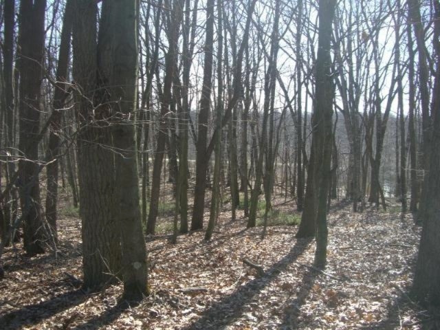 2 6 6 Mile Road Battle Creek, MI 49017 - Photo 2 of 10