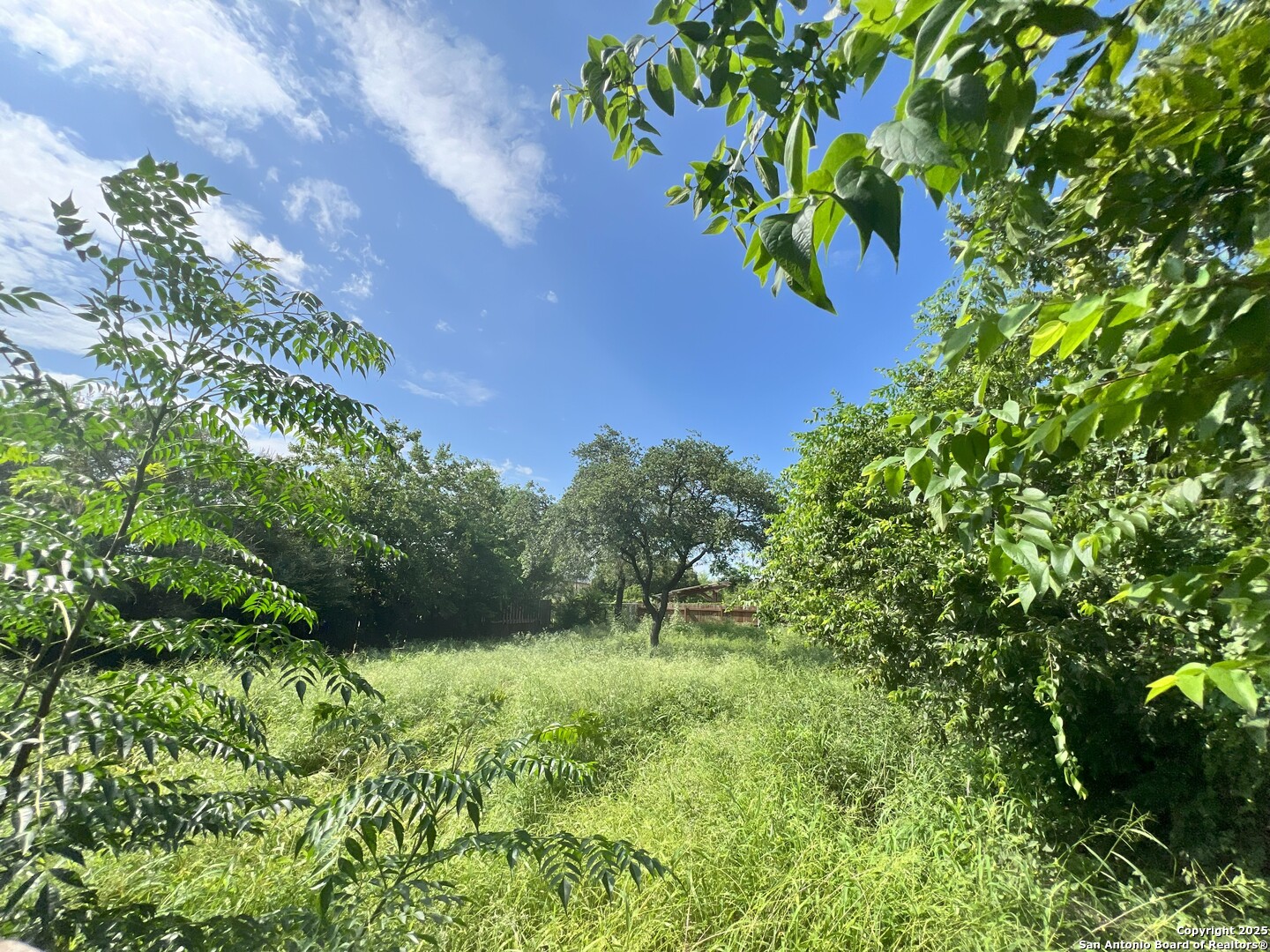 1143 Culebra Road San Antonio, TX 78201 - Photo 6 of 6 a view of a garden