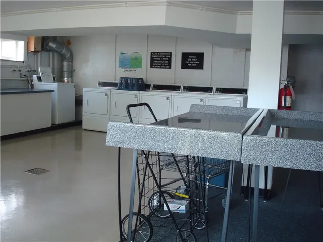 a living room with furniture potted plant and a fireplace