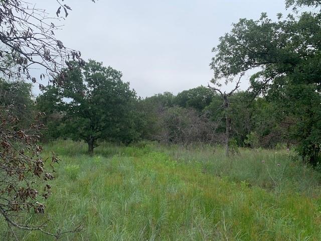 3.78-acres Boyd Road Azle, TX 76020 - Photo 2 of 7 a view of a lush green forest with lots of trees