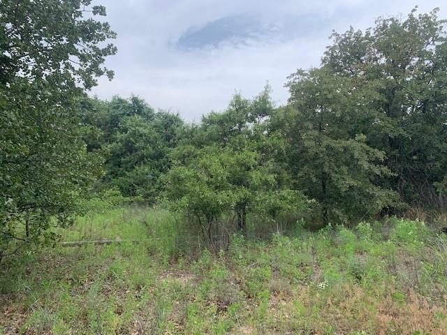 3.78-acres Boyd Road Azle, TX 76020 - Photo 6 of 7 a view of a lush green forest with lots of trees