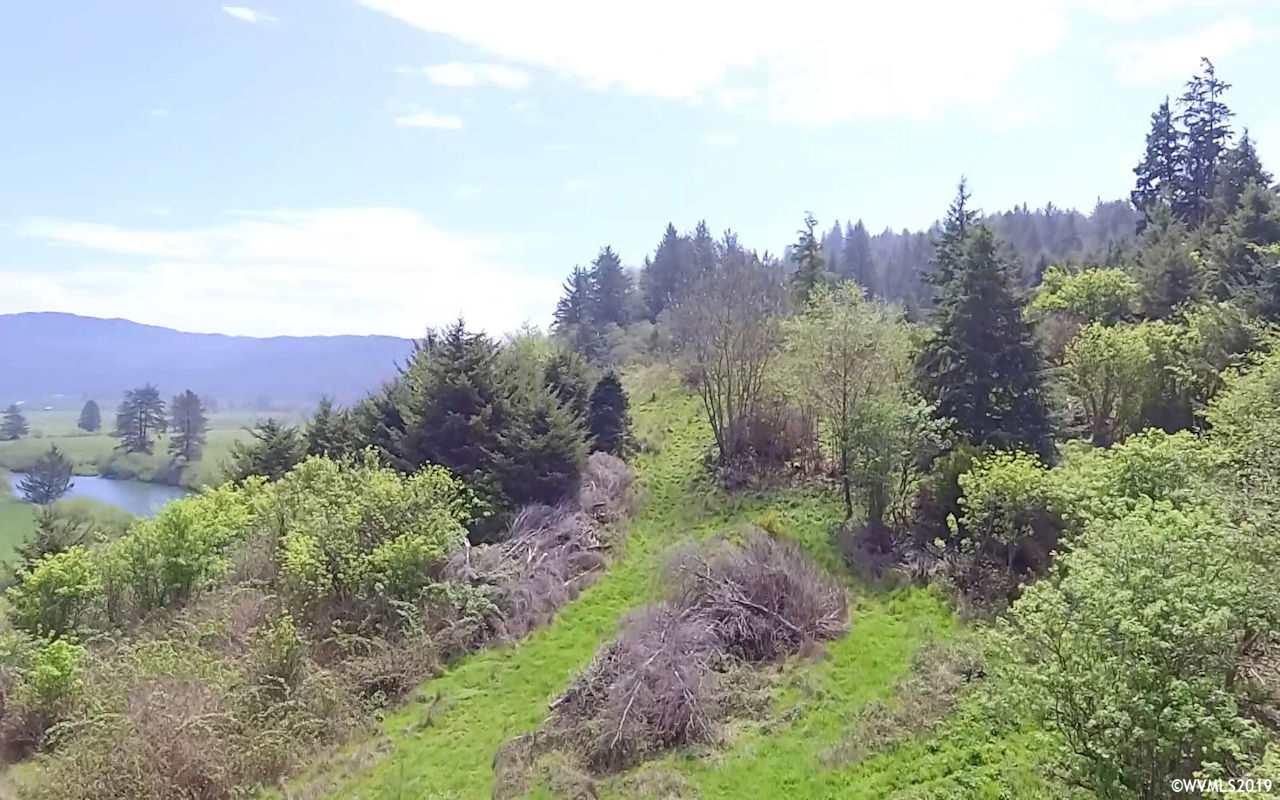 Reddekopp (tl 805) Road Pacific City, OR 97135 - Photo 13 of 22