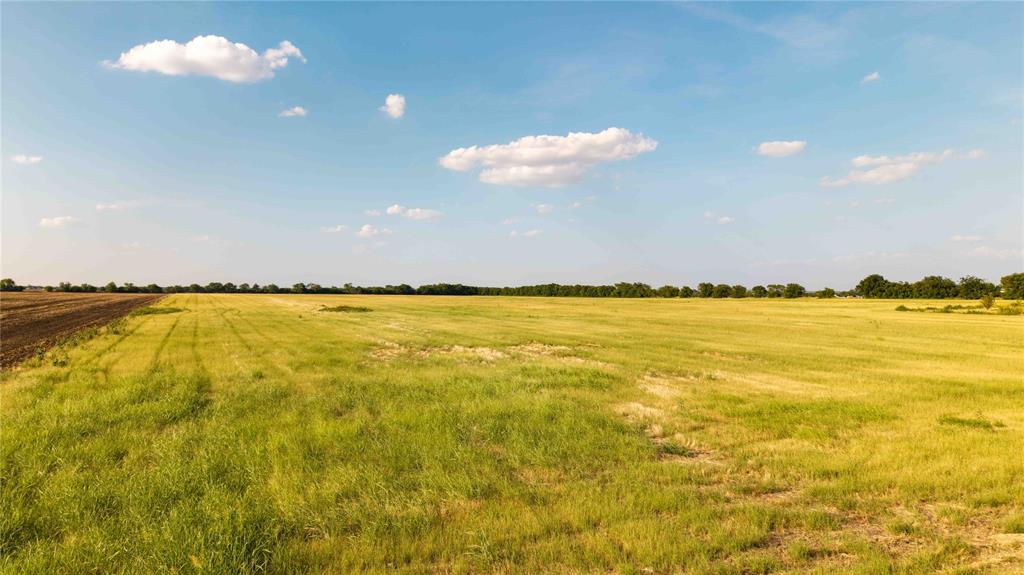 Tbd Plainview Road Krum, TX 76249 - Photo 3 of 8 Gallery Image 3