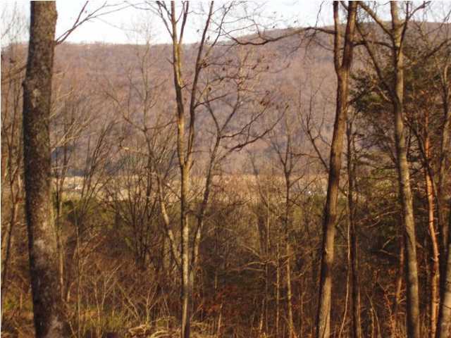 0 Press Pickett Road Whitwell, TN 37327 - Photo 3 of 4 Additional Photo