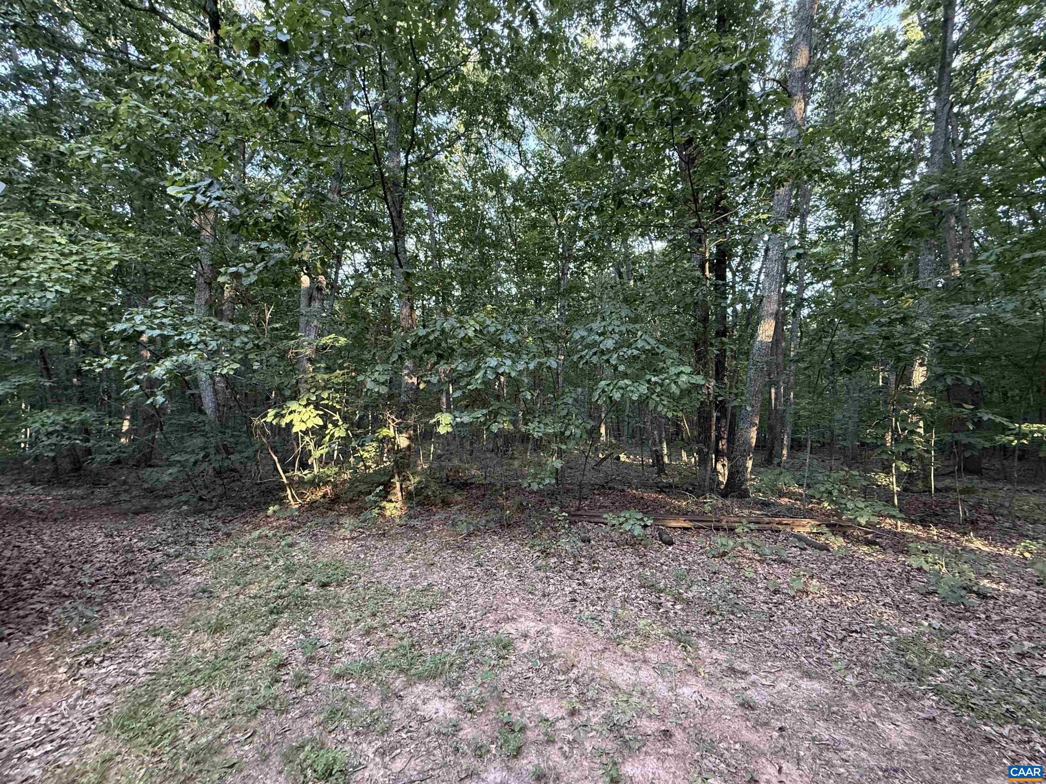 5051 Shannon Hill Road Kents Store, VA 23084 - Photo 60 of 67