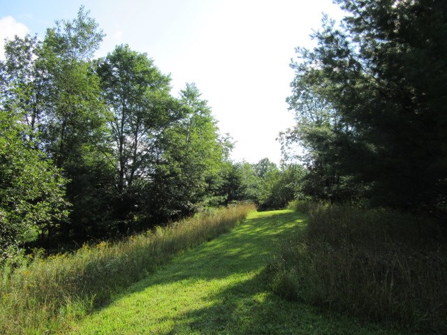 17602 Hibma Road Tustin, MI 49688 - Photo 67 of 94 1837120-66.JPG