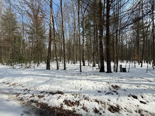 $2,500 | 6804 Maple Court, Canadian Lakes, MI 49346