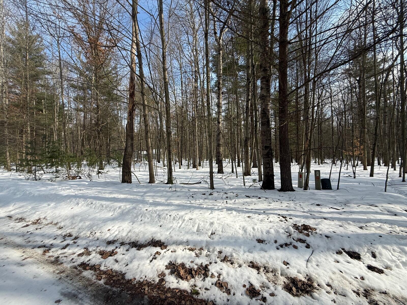 6804 Maple Court Canadian Lakes, MI 49346 - Photo 2 of 14 2