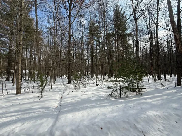 $2,500 | 6804 Maple Court, Canadian Lakes, MI 49346