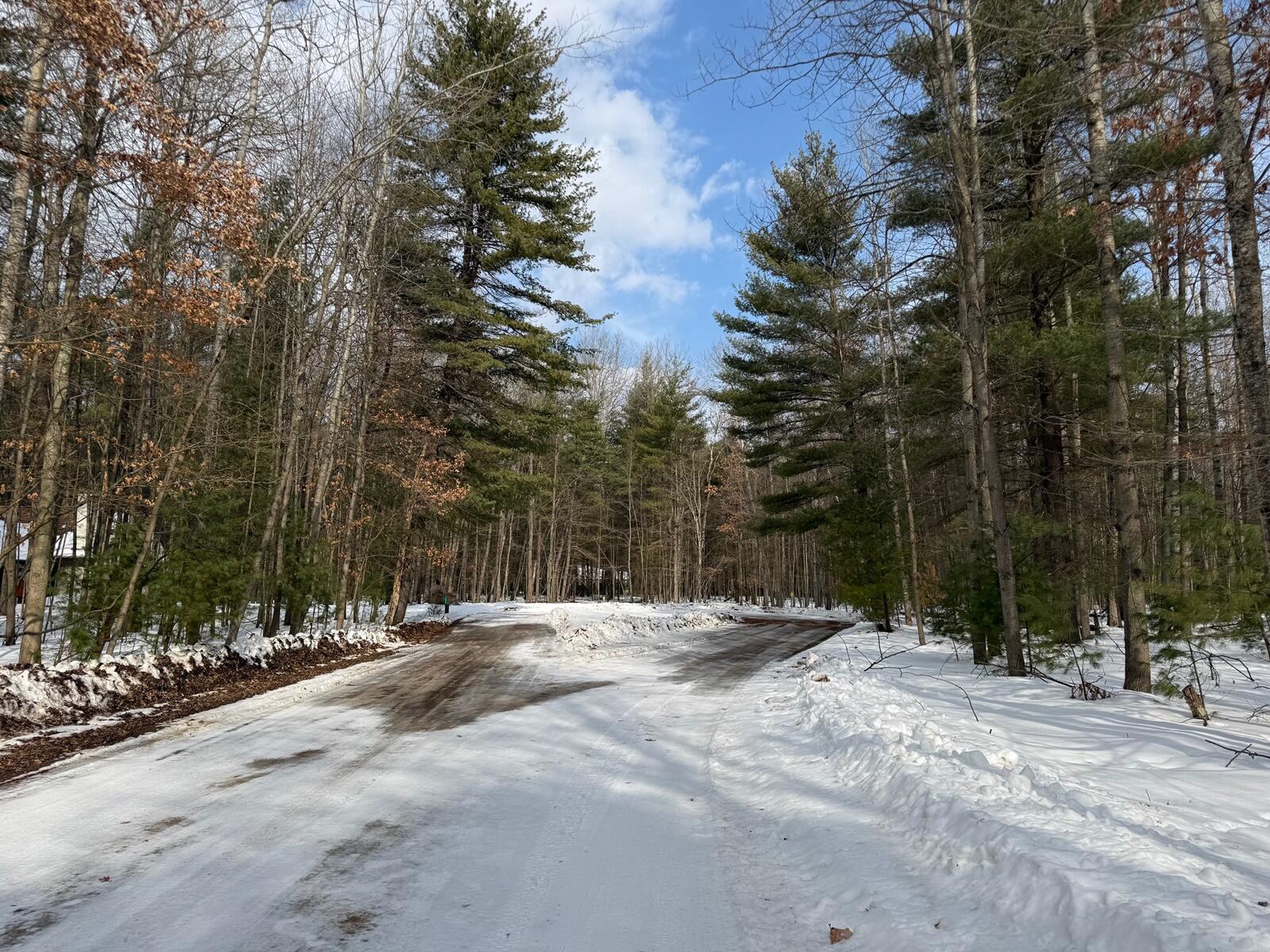 6804 Maple Court Canadian Lakes, MI 49346 - Photo 5 of 14 5 Cul-de-sac