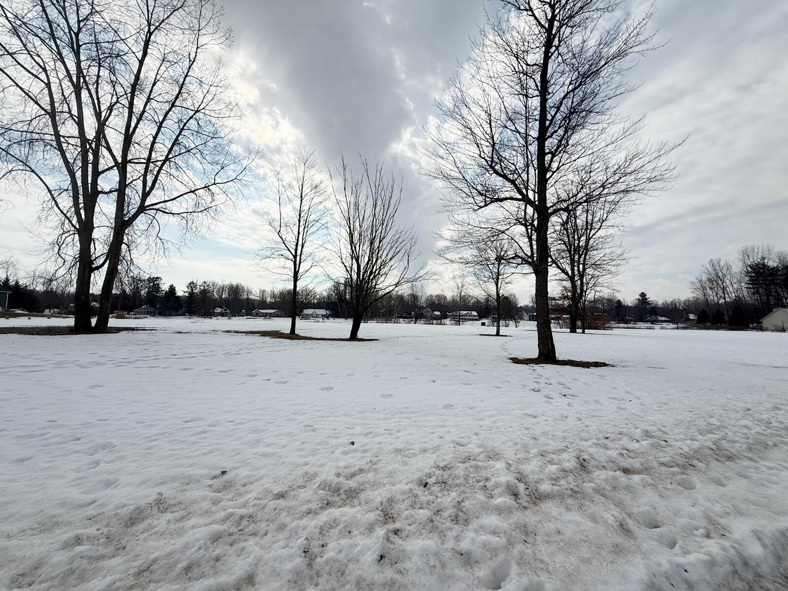 6804 Maple Court Canadian Lakes, MI 49346 - Photo 7 of 14 7 Park Area