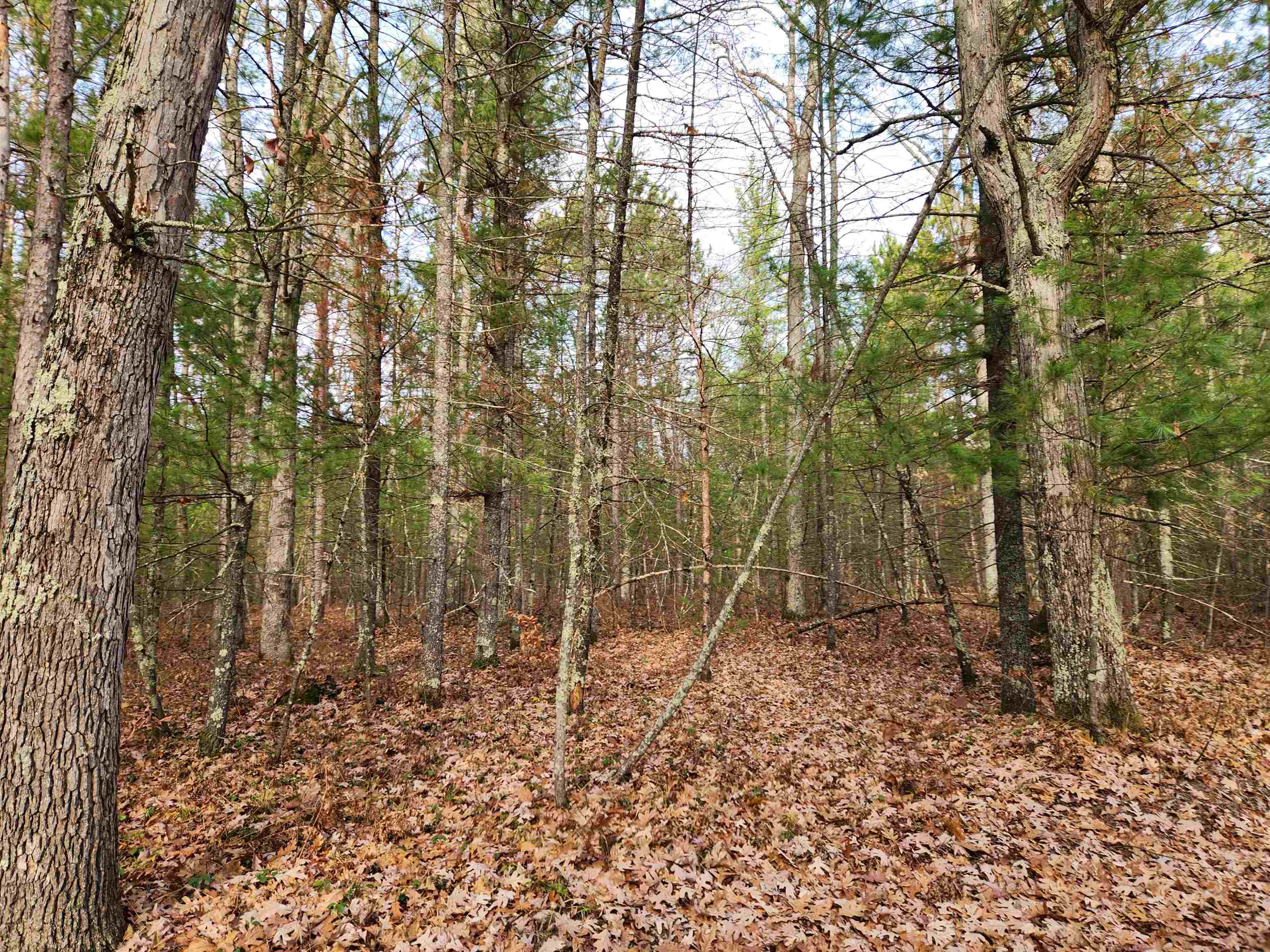 Vl Hall Creek Road Interlochen, MI 49643 - Photo 2 of 5