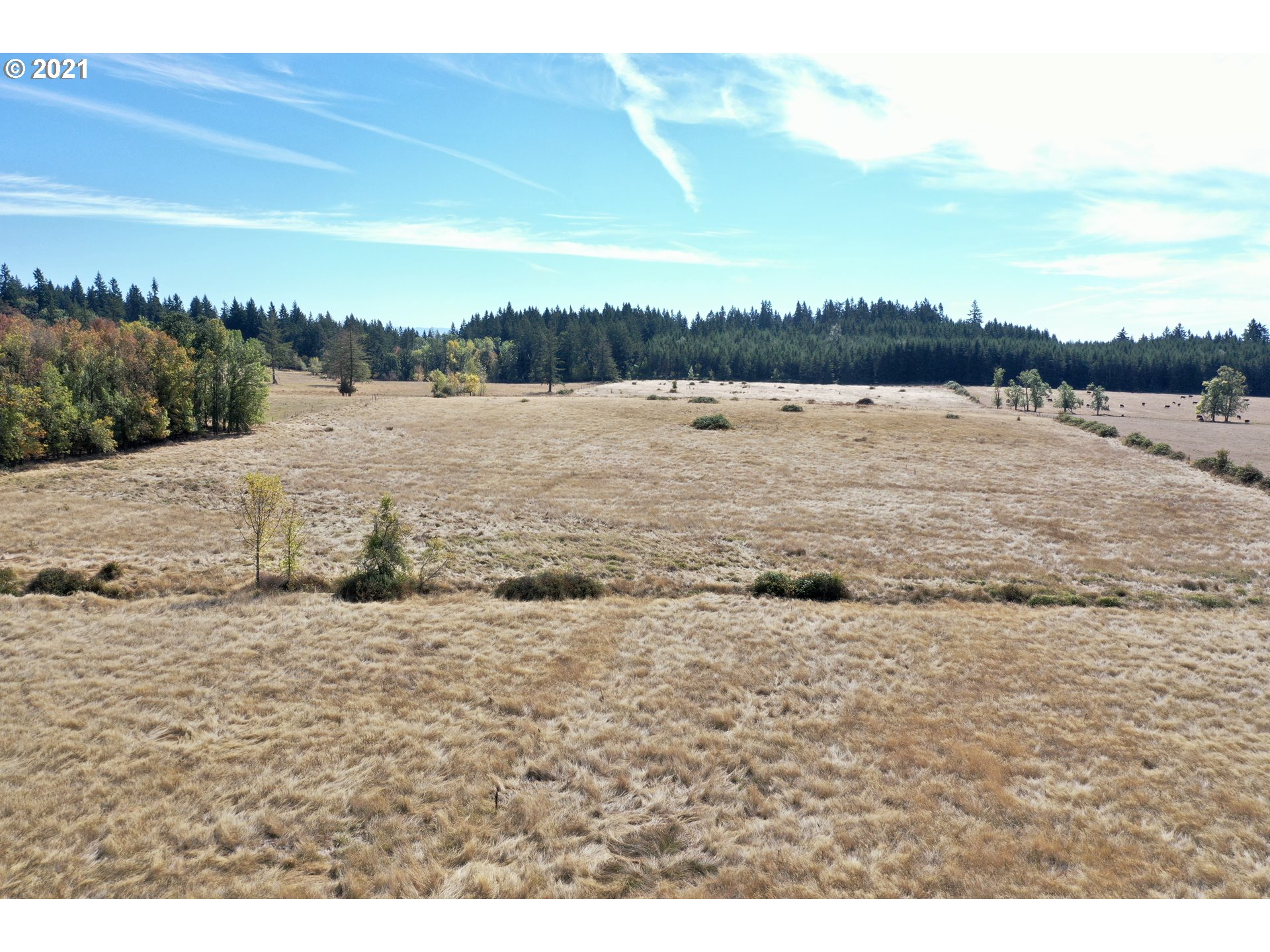 12530 South Union Hall Road Canby, OR 97013 - Photo 12 of 26 a view of a lake view