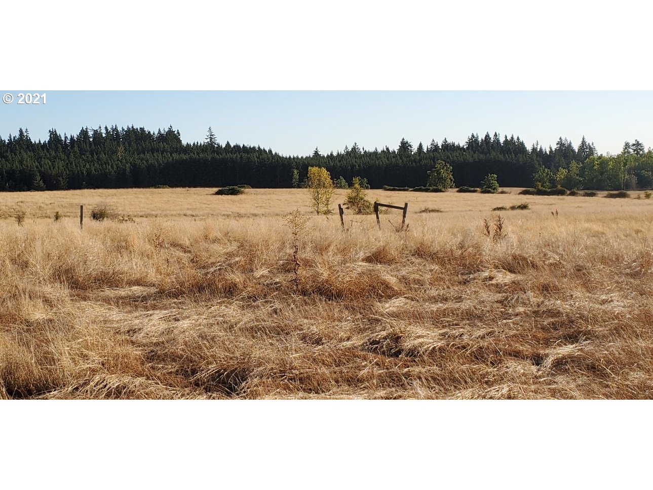 12530 South Union Hall Road Canby, OR 97013 - Photo 23 of 26 a view of mountain with lake view