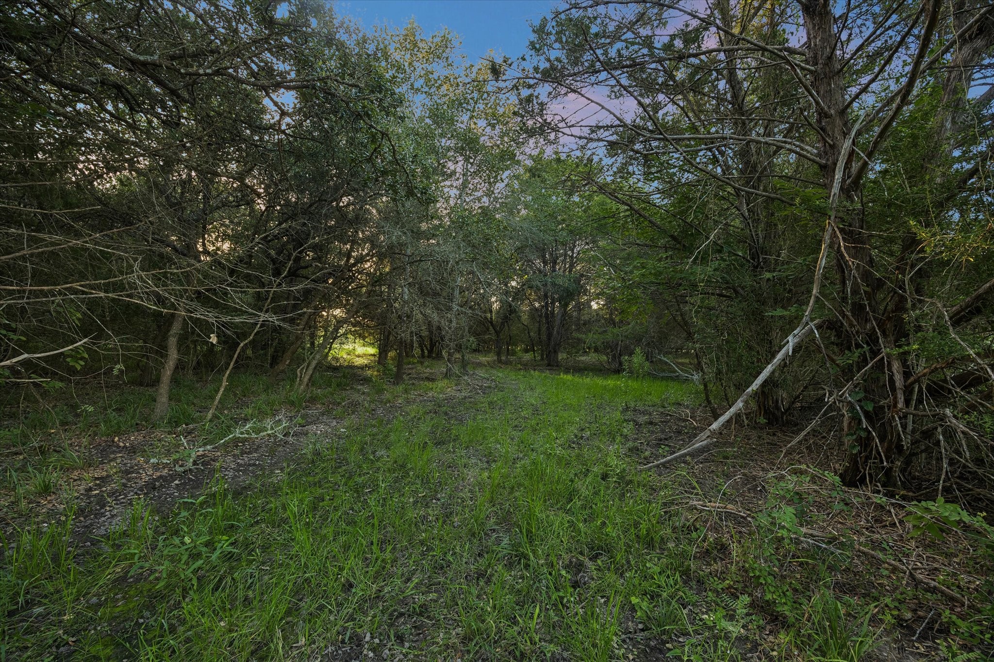 1600 South Weyand Road Round Top, TX 78954 - Photo 40 of 50 The propery has wooded areas with paths.