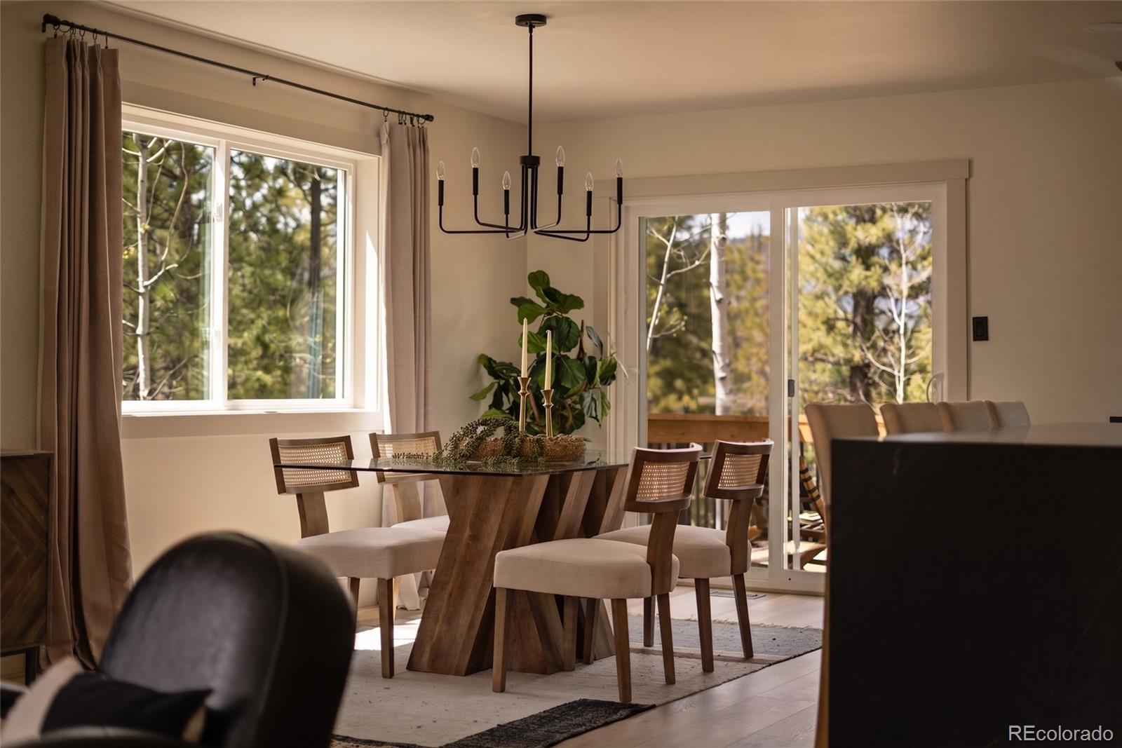 33691 Nova Road Pine, CO 80470 - Photo 15 of 38 Gallery Image 15