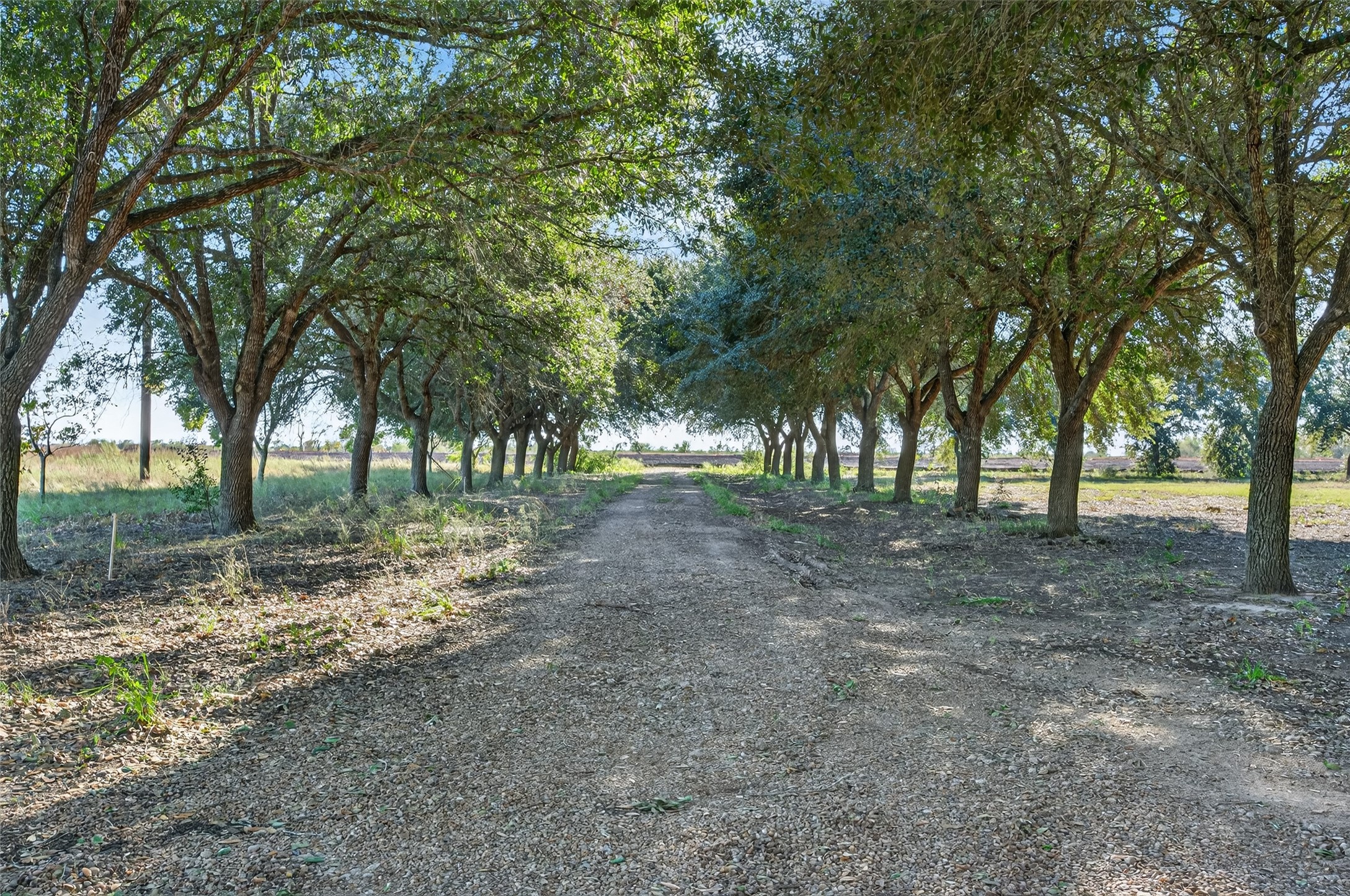 412 FM 360 Road Beasley, TX 77417 - Photo 9 of 12 a view of outdoor space with trees