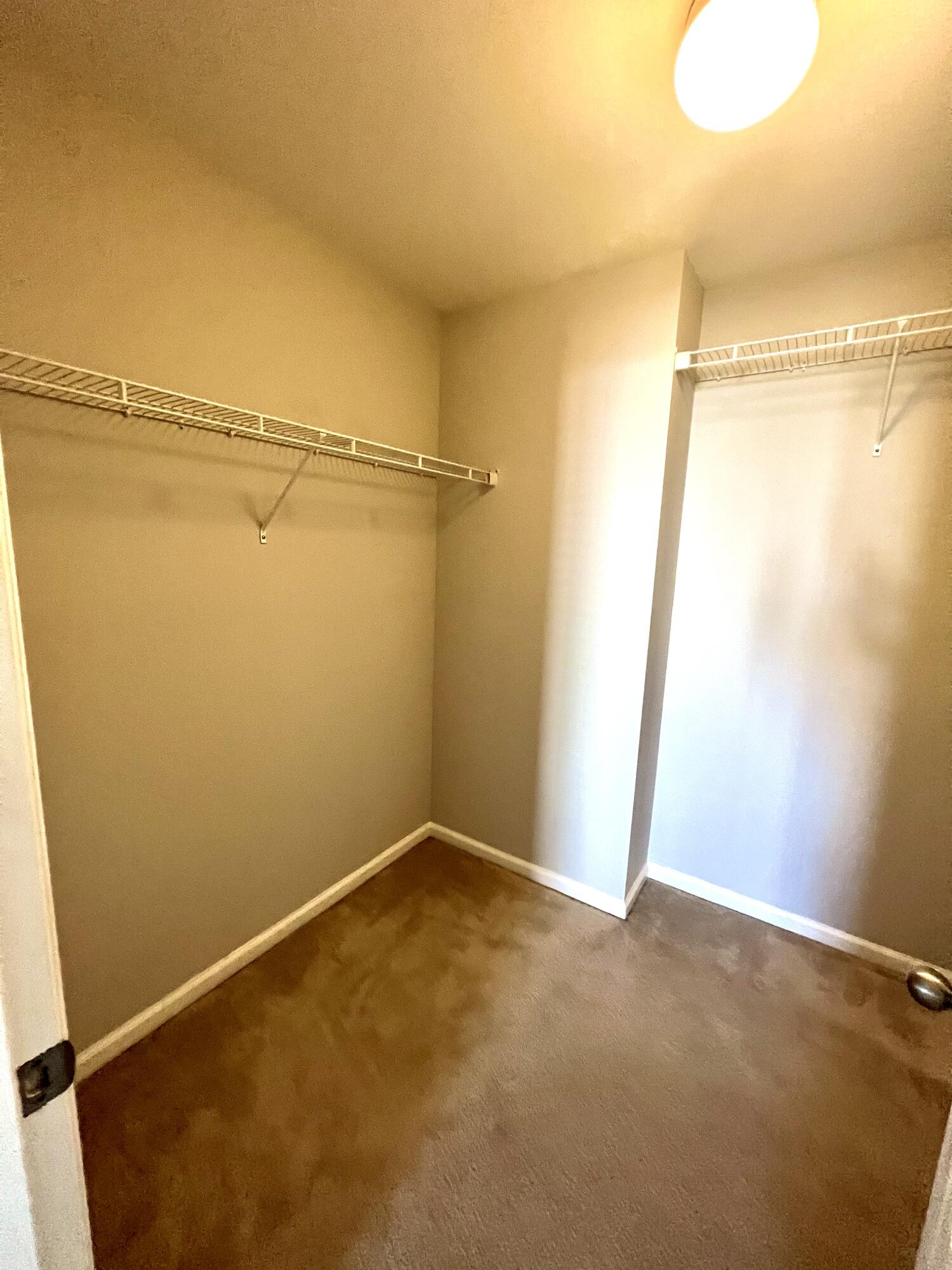 616 Silver Moss Drive Moncks Corner, SC 29461 - Photo 19 of 26 Master Walk-In Closet