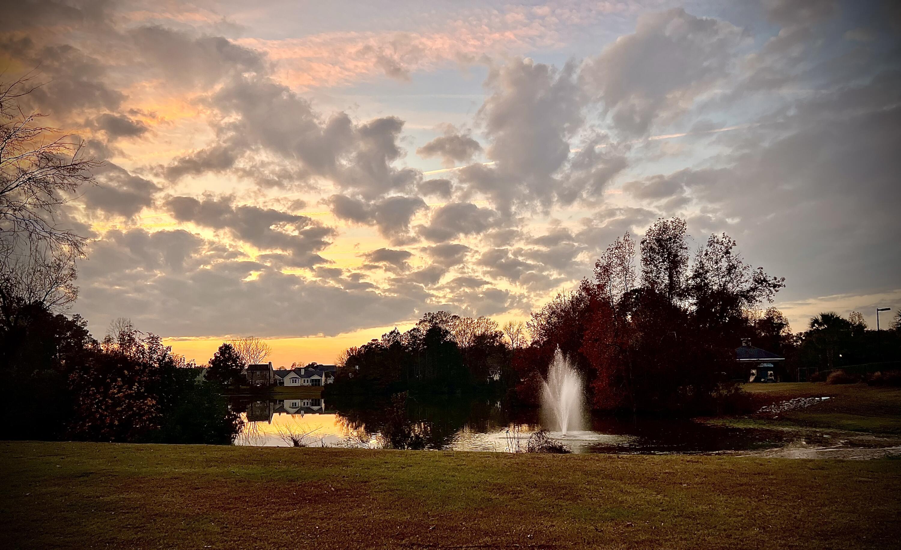 616 Silver Moss Drive Moncks Corner, SC 29461 - Photo 25 of 26 Community View