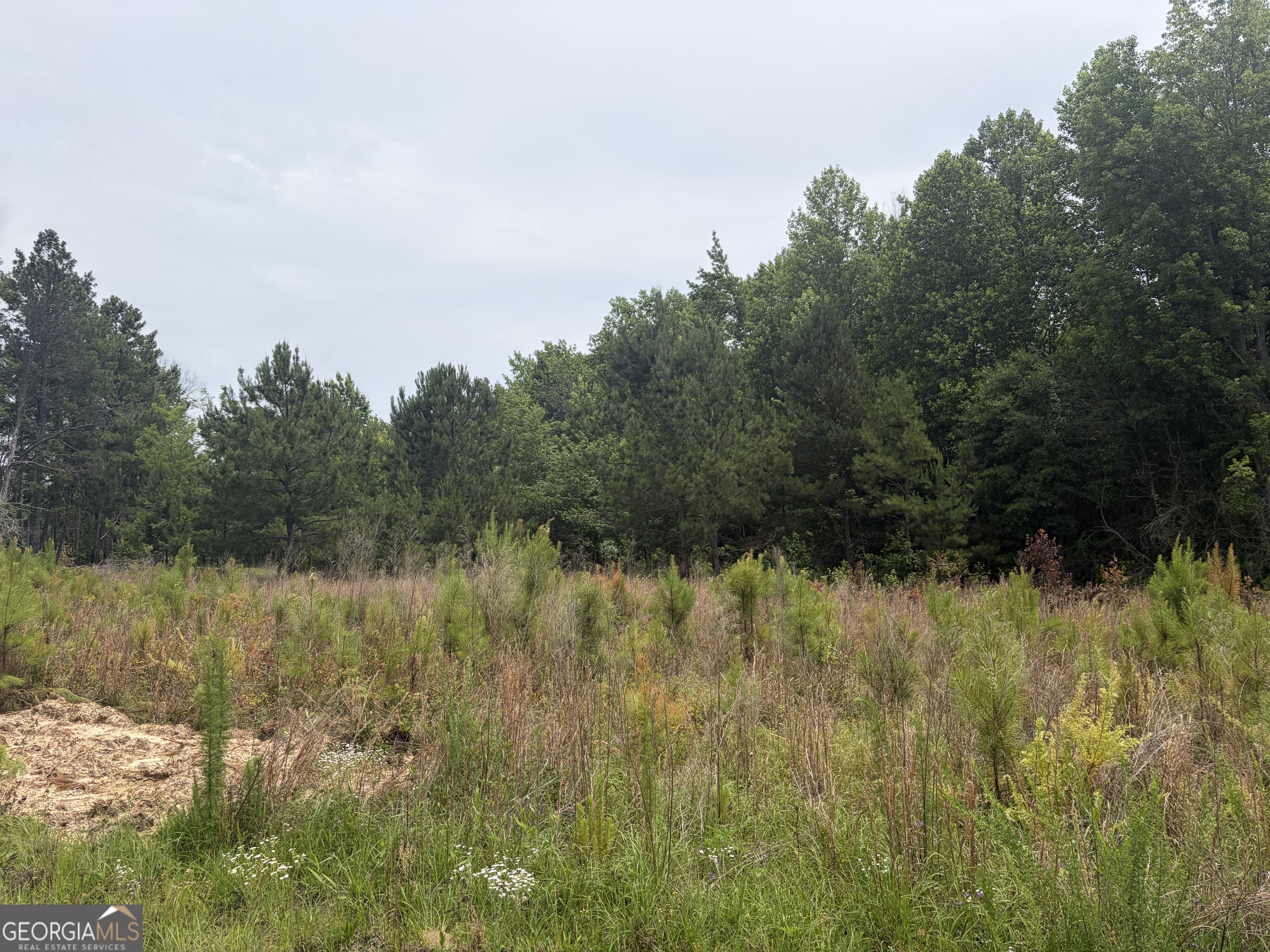 6 Sunhill Grange Road Sandersville, GA 31018 - Photo 5 of 8
