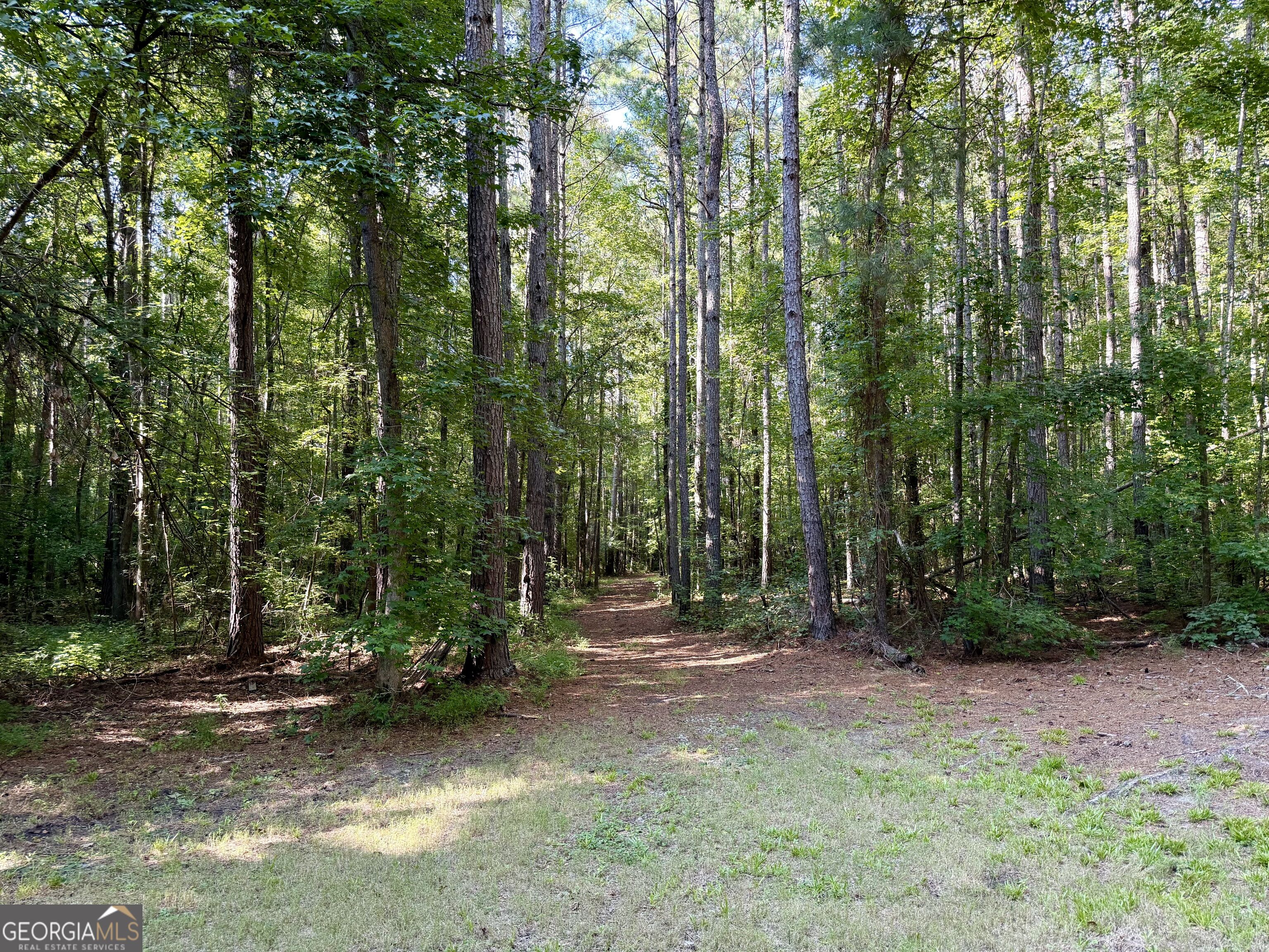 5 Chapman Road Fayetteville, GA 30215 - Photo 13 of 30 Gallery Image 13