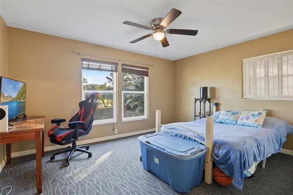 a living room with a bed furniture and a window