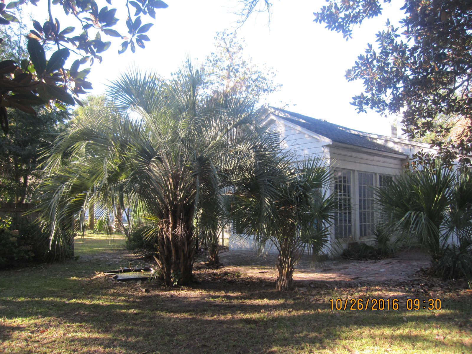 107 Bellinger Street Walterboro, SC 29488 - Photo 33 of 34 IMG_4906