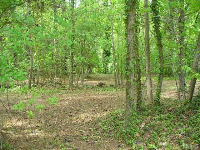 5333 Russell Road Durham, NC 27712 - Photo 6 of 15 Yard