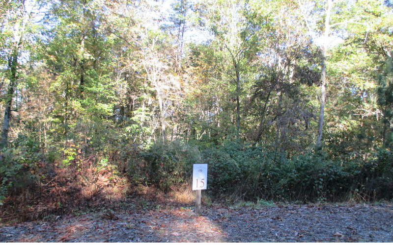 L-15 Anglers Loop Blue Ridge, GA 30513 - Photo 1 of 1 Main View
