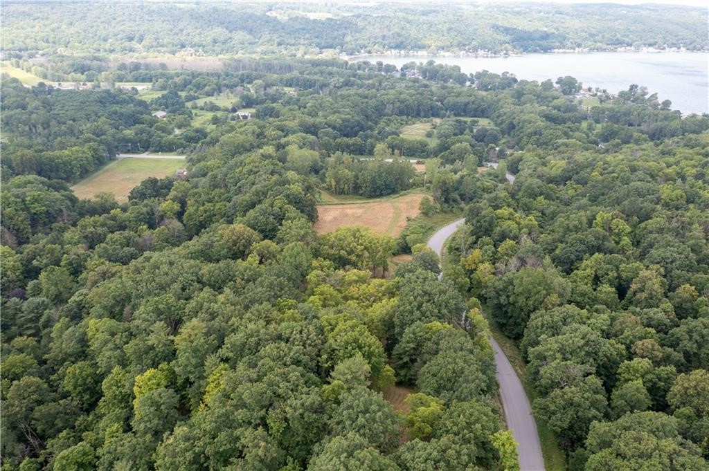 0 Henderson Hill Road Conesus, NY 14435 - Photo 2 of 7