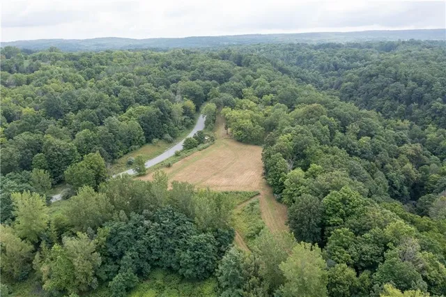 $100,000 | 0 Henderson Hill Road, Conesus, NY 14435