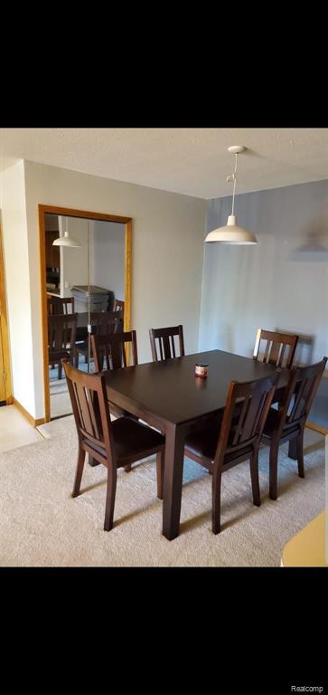 45749 Prairiegrass Court, Unit 4 Belleville, MI 48111 - Photo 8 of 22